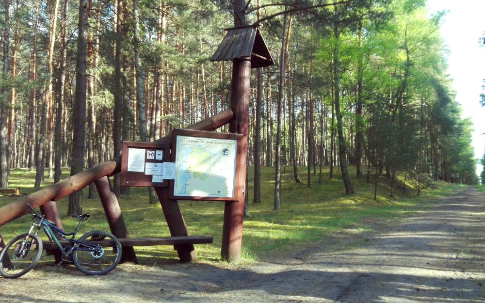 Bory Tucholskie i rower - idealny duet