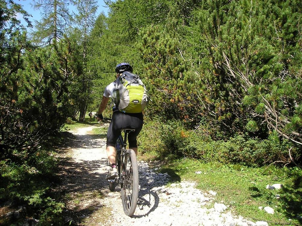 Okolice Świeradowa Zdroju to 100 kilometrów ścieżek, tzw. „singletracków”.