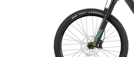Rower elektryczny BULLS Sonic Eva AM-SX 1