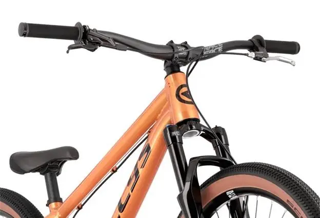 Rower Dirt/Street KELLYS Whip 70 DJ