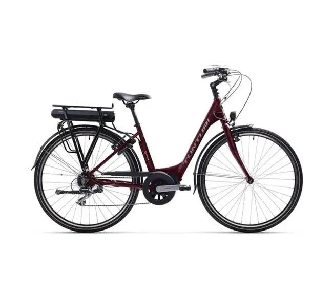 Rower elektryczny TUNTURI E-Power