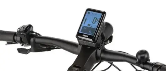 Rower elektryczny R-RAYMON Crossray Pro