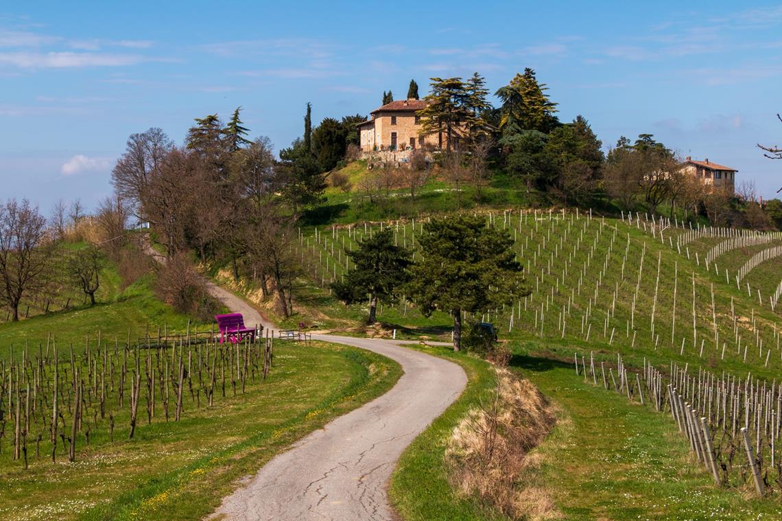 trasa wyscigu na wzgórzach w okolicach Pavii