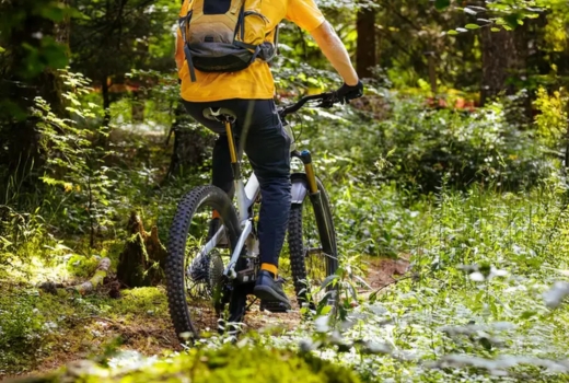 Opona tylna MICHELIN E-Wild Rear Performance