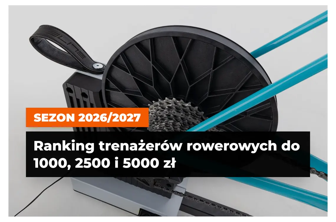 Ranking trenażerów według kwoty.