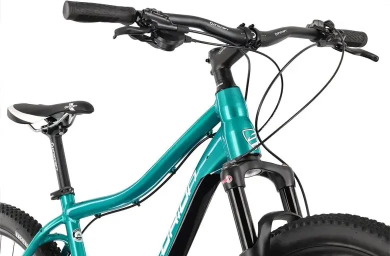 Rower MTB CENTURION Backfire Fit Pro 600.29 HP3