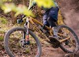 Jaki amortyzator wybrać do MTB? Ranking popularnych modeli