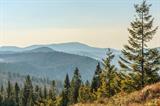 Przez Beskid Śląski i Żywiecki – czerwona trasa rowerowa na Słowację