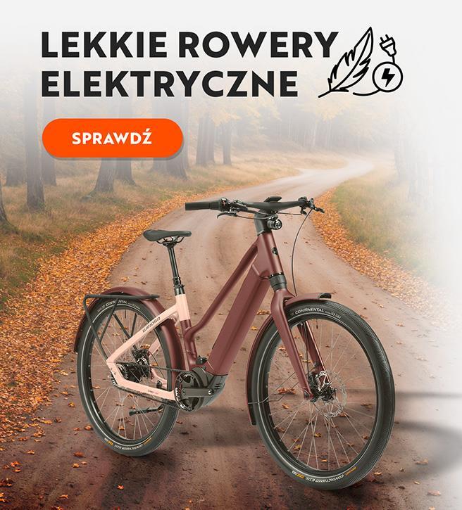 Kampania jesienna: BANNER Lekkie elektryki 23.09.