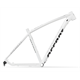 Rama MTB ACCENT Point 29"