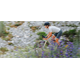 Koszulka rowerowa damska ALE CYCLING Color Block Off Road 