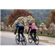 Bluza rowerowa damska ALE CYCLING Solid Wall