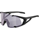 Okulary fotochromowe ALPINA Hawkeye Q-Lite V