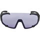 Okulary fotochromowe ALPINA Hawkeye Q-Lite V