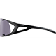 Okulary fotochromowe ALPINA Hawkeye Q-Lite V