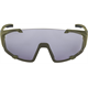 Okulary fotochromowe ALPINA Hawkeye Q-Lite V
