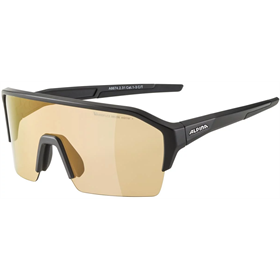 Okulary fotochromowe ALPINA Ram HR Q-Lite V