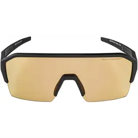 Okulary fotochromowe ALPINA Ram HR Q-Lite V