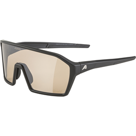 Okulary fotochromowe ALPINA Ram Q-Lite V
