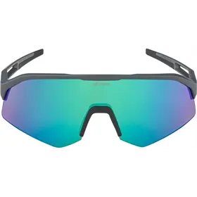 Okulary rowerowe ALPINA Sonic HR Q-Lite