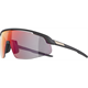Okulary fotochromowe ALPINA Turbo PRO QV