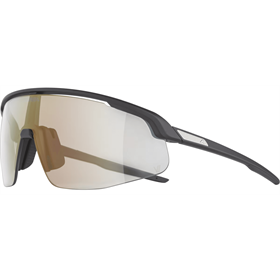 Okulary fotochromowe ALPINA Turbo Pro V