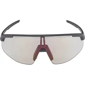 Okulary fotochromowe ALPINA Turbo Pro V