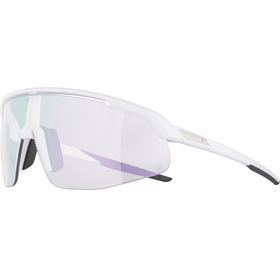 Okulary fotochromowe ALPINA Turbo Pro V