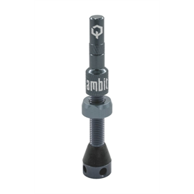 Wentyl AMBIT Tubeless Valves Realm