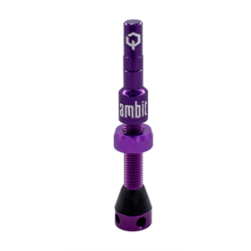 Wentyl AMBIT Tubeless Valves Realm