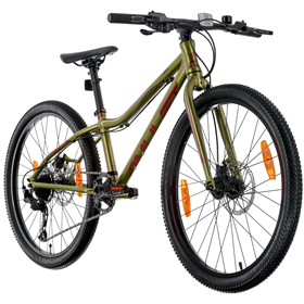 Rower dziecięcy AMULET Youngster 24