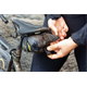 Torba podsiodłowa APIDURA Expedition Tool Pack