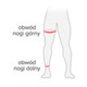 Nogawki ASSOS GT Spring Fall Leg Warmers C2