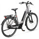 Rower elektryczny BATAVUS Altura E-Go Power Plus