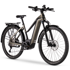 Rower elektryczny BESV TRX-B URBAN 1.1