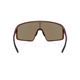 Okulary rowerowe BLIZ P001S