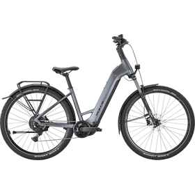 Rower elektryczny BULLS Iconic Evo 1 29