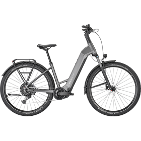 Rower elektryczny BULLS Iconic Evo 2 29