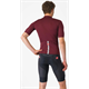 Spodenki rowerowe z wkładką CASTELLI Competizione 2 Kit