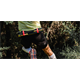 Nerka COMPRESSPORT Free Belt Pro