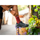 Skarpetki kompresyjne COMPRESSPORT Pro Racing Socks v4.0 Run High