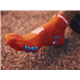 Skarpetki kompresyjne COMPRESSPORT Pro Racing Socks v4.0 Run Low