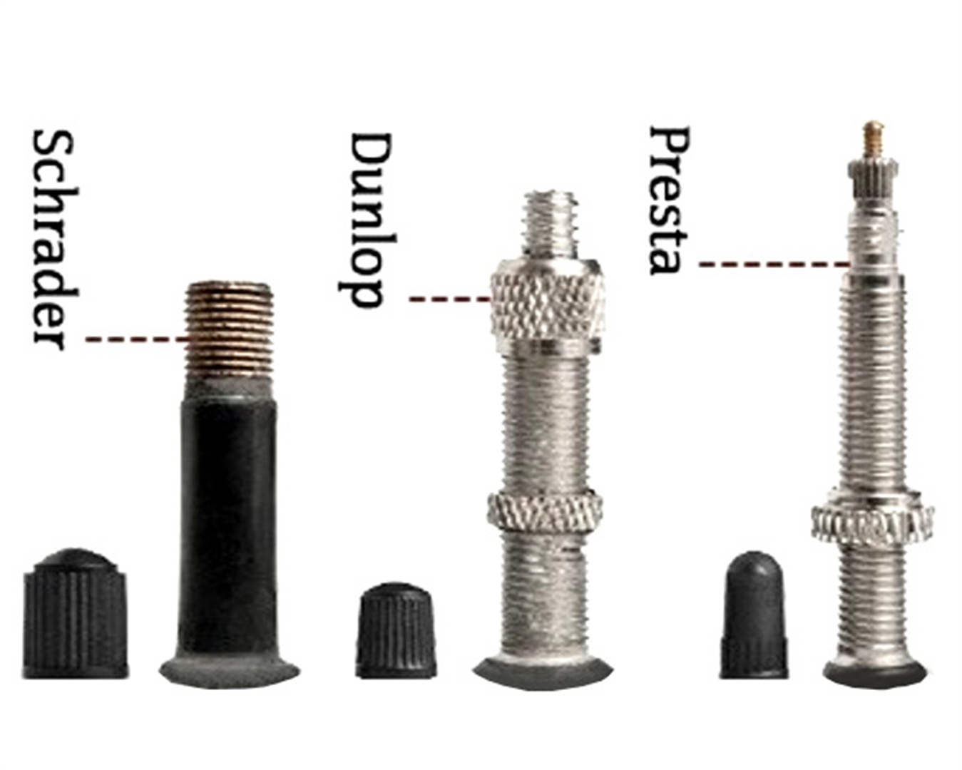 continental tour 28 all tube