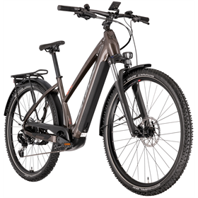 Rower elektryczny CORRATEC E-Power MTC Elite 12S SE 3.0 Sport