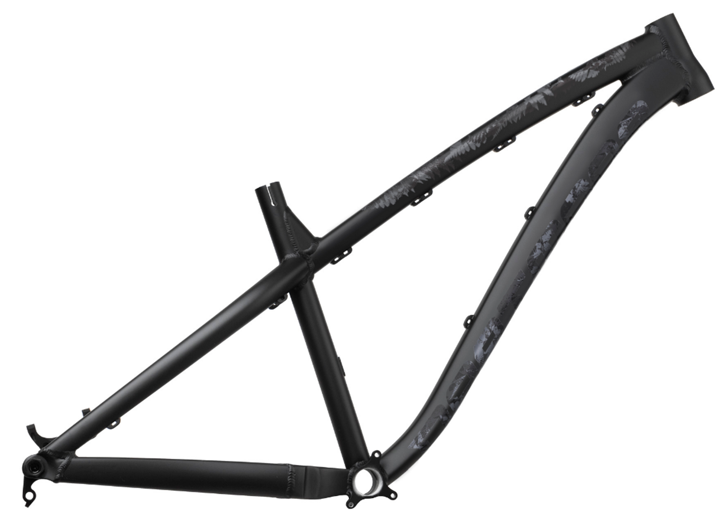 raider 150 model 2010