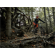 Rama MTB DARTMOOR Rocbird 29