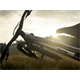Rama MTB DARTMOOR Rocbird 29