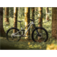 Rama MTB DARTMOOR Rocbird 29
