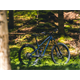 Rama MTB DARTMOOR Rocbird Mullet