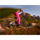 Rama MTB DARTMOOR Rocbird Mullet